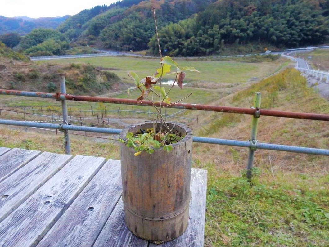 島根県雲南市・奥出雲町にある『ダムの見える牧場』の様子