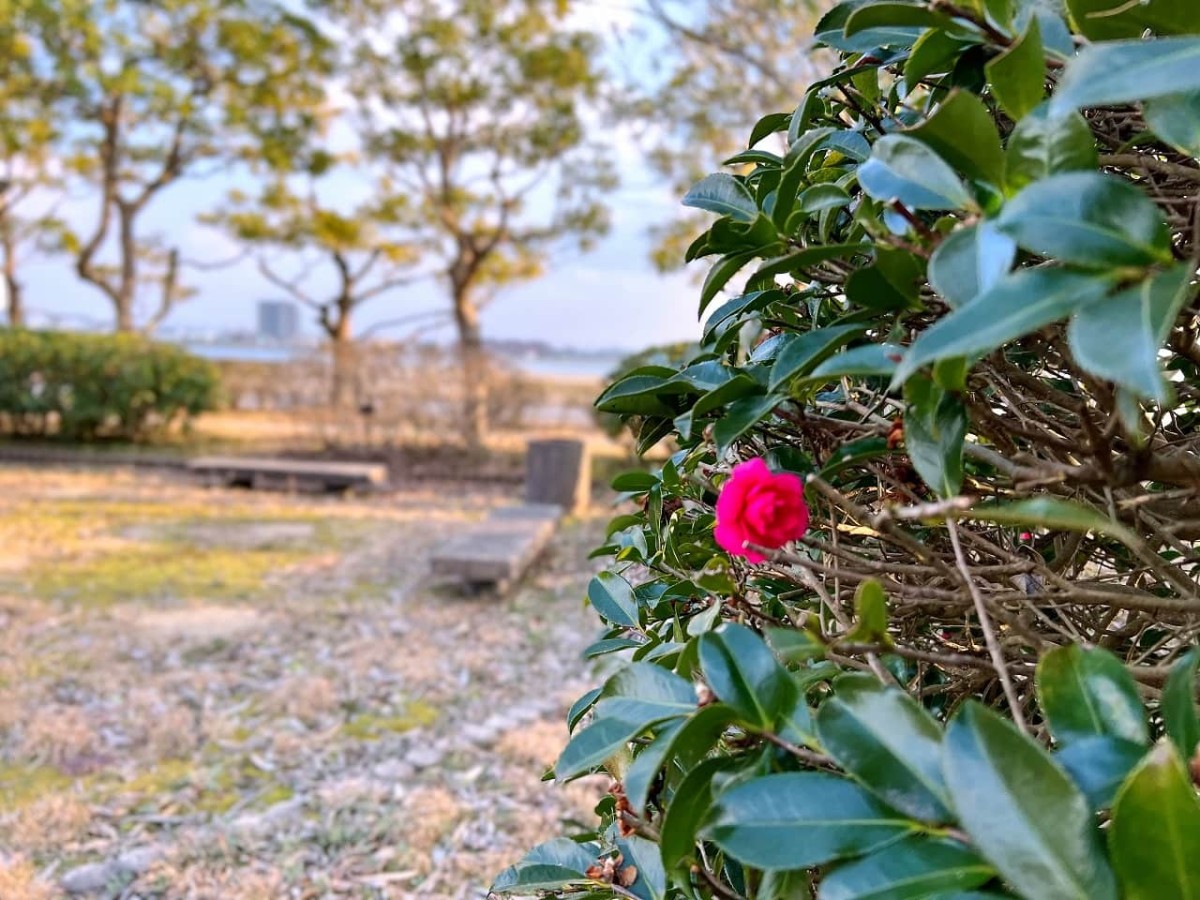 松江市美保関町の『小中村公園』の様子