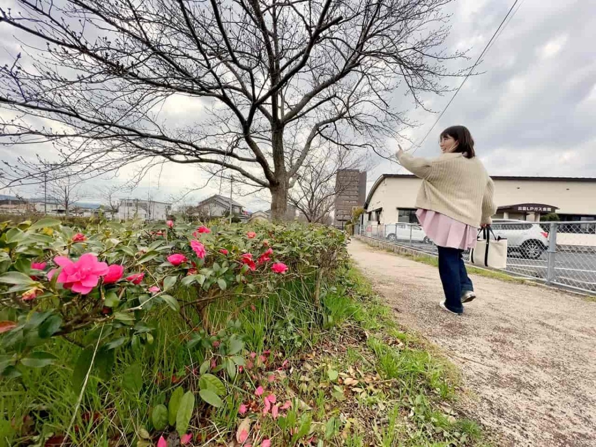 出雲市内周辺で過ごす編集部あつきちの様子