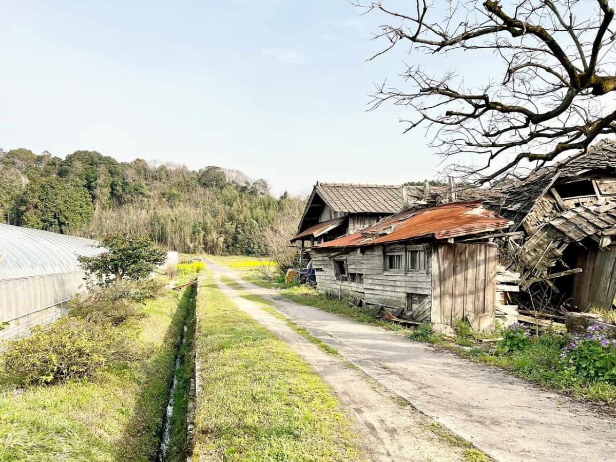 鳥取県西伯郡伯耆町の岸本駅周辺の農道の様子