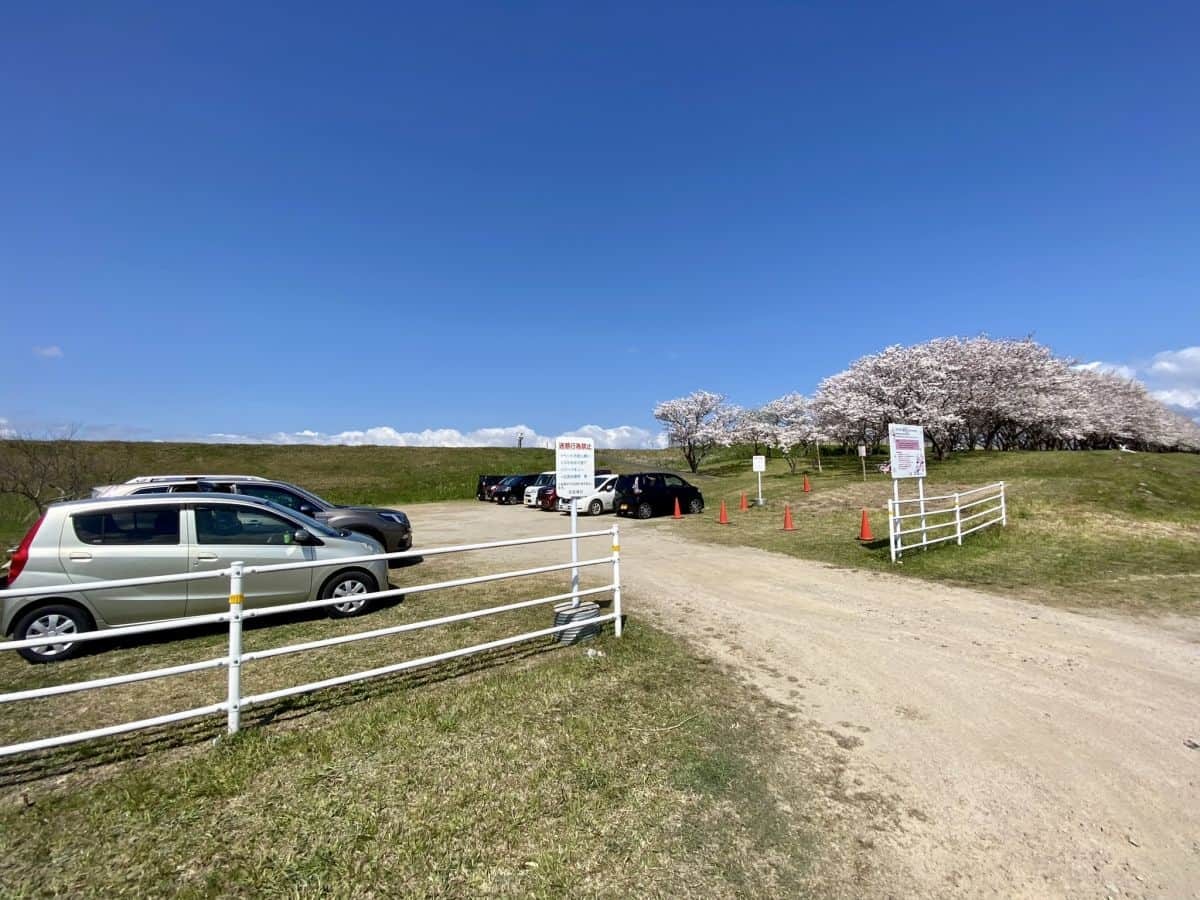 鳥取県日吉津村にある桜の名所『桜堤』の駐車場