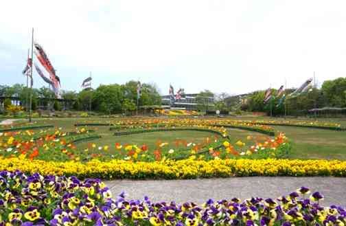 島根県出雲市の『しまね花の郷』で開催されるゴールデンウイークイベント「春のフラワーフェスタ」の様子