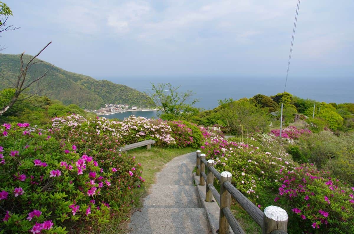 島根県松江市美保関町のフラワースポット「五本松公園」の風景