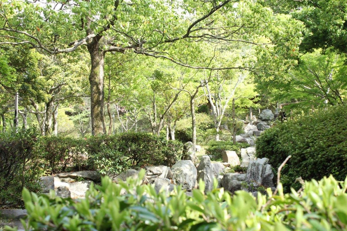 島根県益田市の都市公園『島根県立万葉公園』の園内の様子