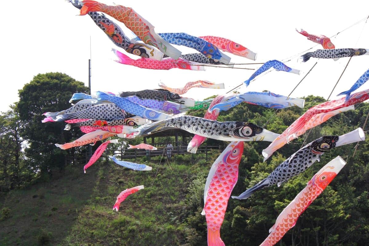 島根県益田市の都市公園『島根県立万葉公園』に掲揚されている鯉のぼりの様子