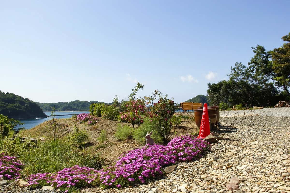 島根県松江市美保関町にあるフラワースポット『内田花園』の様子