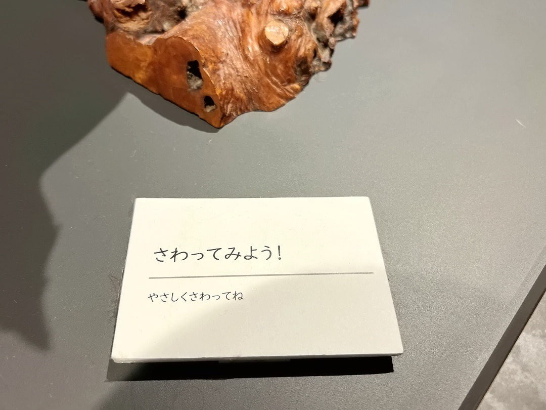 鳥取県西伯郡南部町にある『キナルなんぶ』併設の展示コーナーの様子