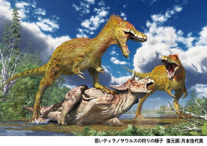 ティラノサウルスのイメージ図
