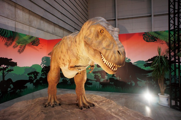 鳥取市で開催中のイベント「ティラノサウルス展 ～T.rex 驚異の肉食恐竜～」の展示物