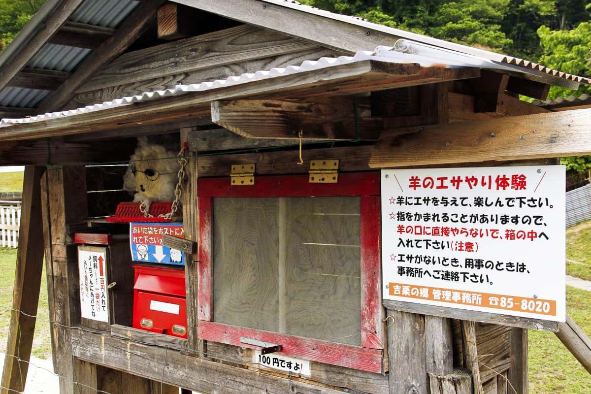 島根県出雲市佐田町にある子連れお出かけスポット『飯の原農村公園 吉栗の郷』で販売中の羊のエサ