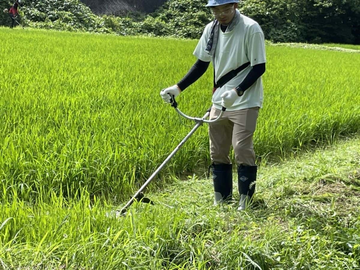 島根県雲南市吉田町での草刈りイベントの様子