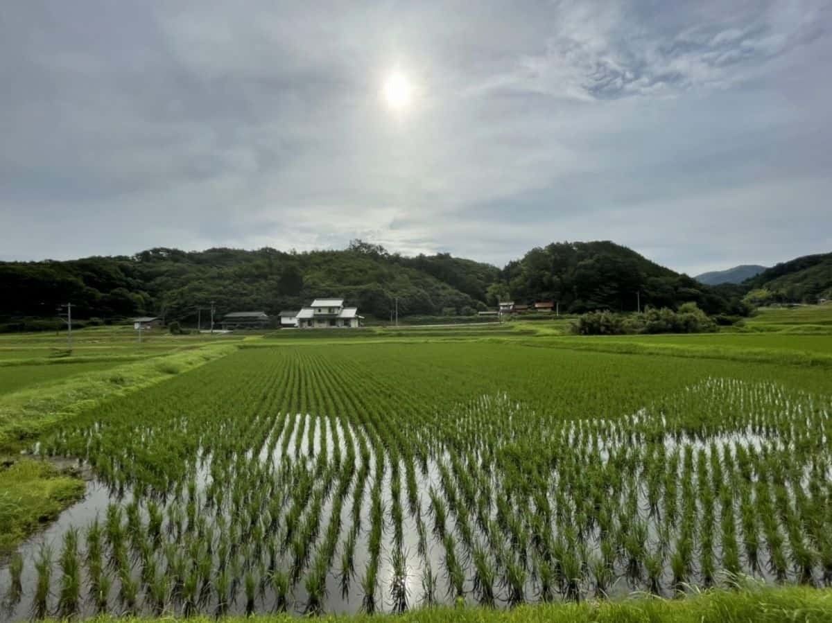 島根県雲南市吉田町、宇山地区の田園風景