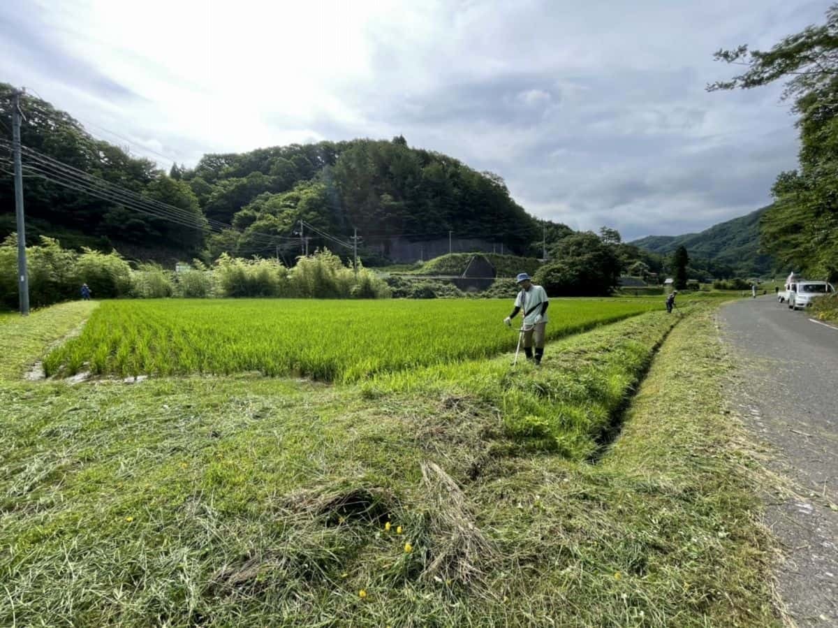 島根県雲南市吉田町で行われた草刈りイベント「草刈り応援隊」の様子