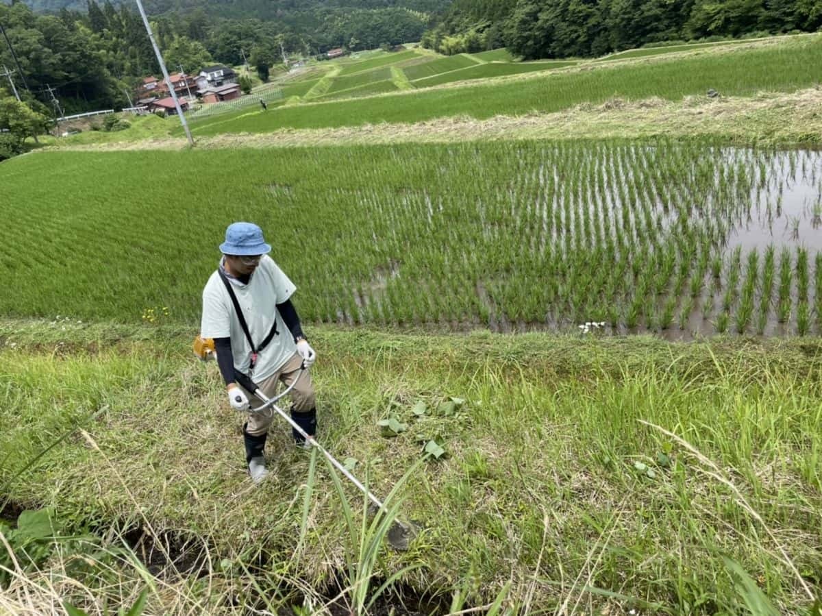 島根県雲南市吉田町で行われた草刈りイベント「草刈り応援隊」の様子