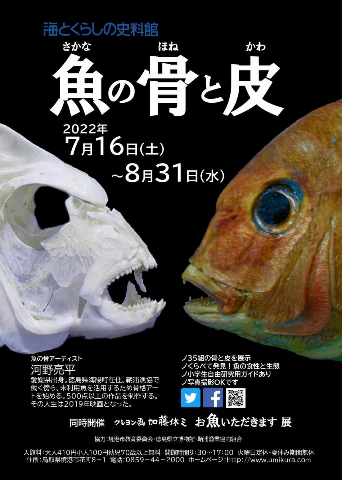 海とくらしの史料館で開催中のイベント「魚の骨と皮展」ポスター