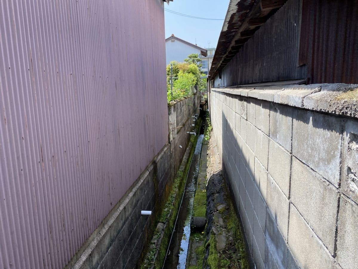 雲南市で見つけたチンアナゴに見える排水パイプ