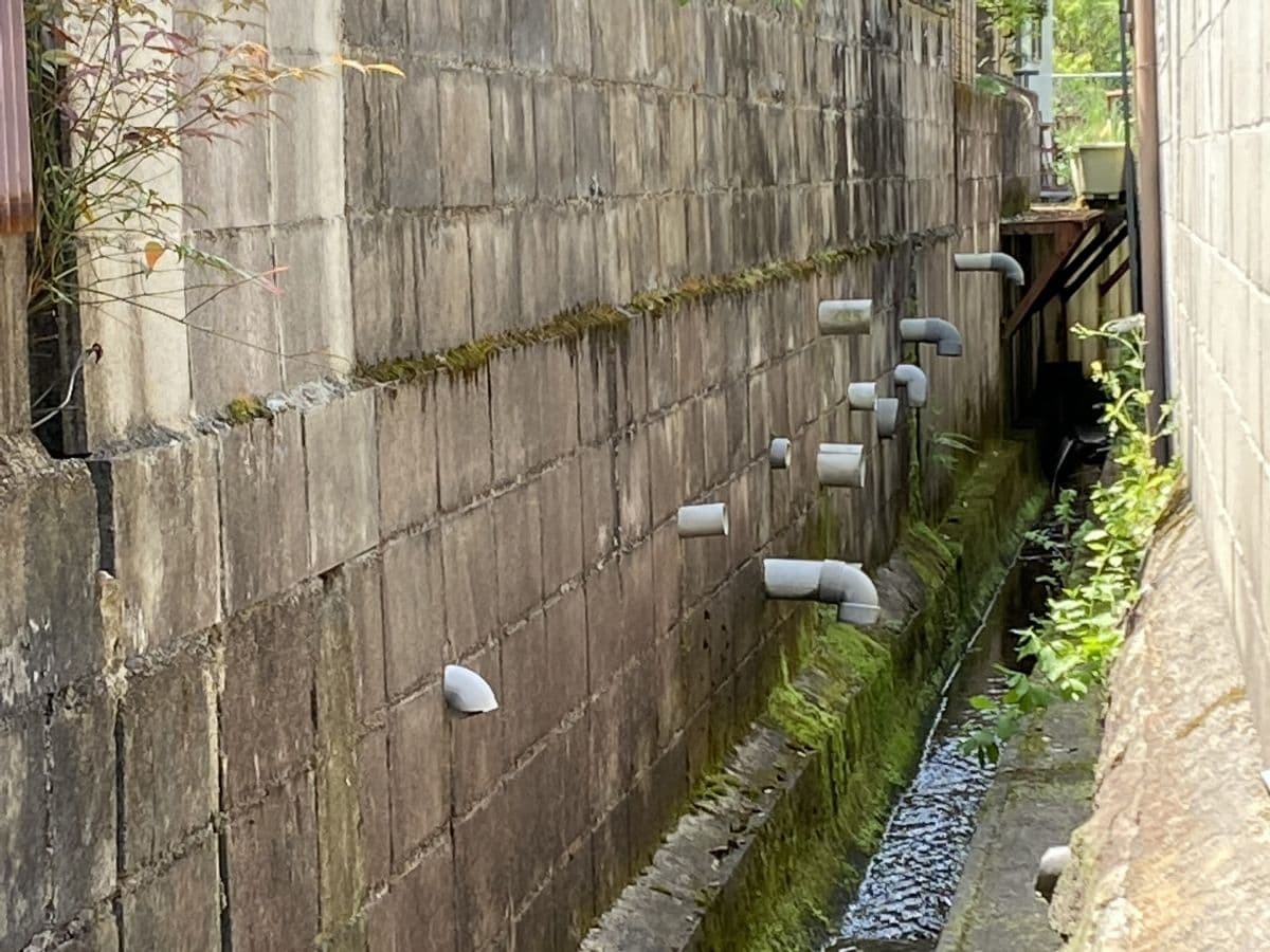 雲南市で見つけたチンアナゴに見える排水パイプ