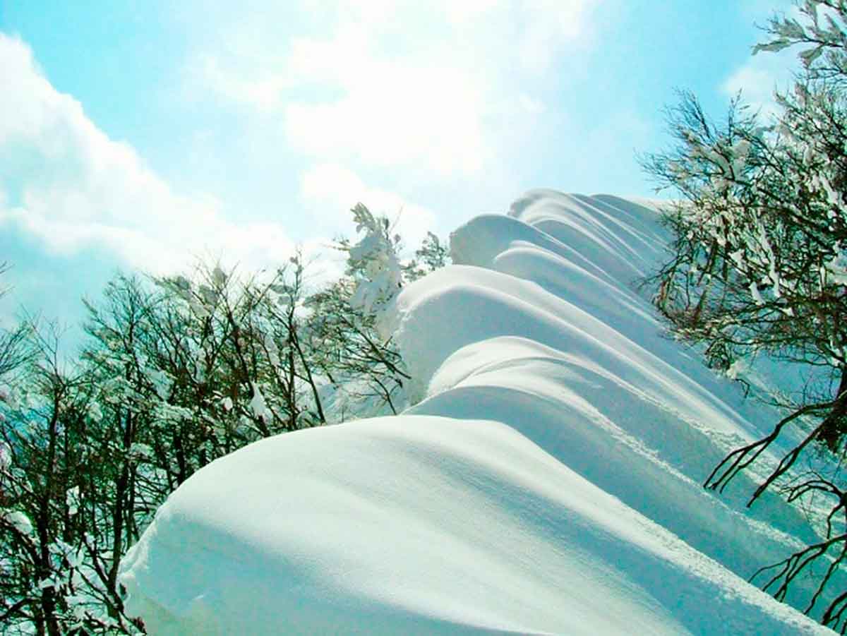 島根県の秀峰・大万木山の冬の景色