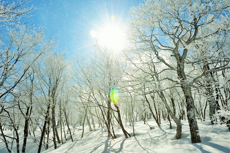 島根県の秀峰・大万木山の冬の景色