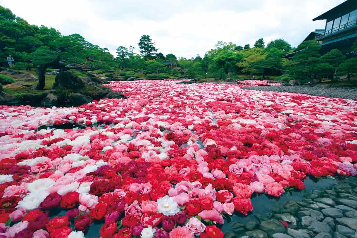 島根県松江市にある「日本庭園　由志園」の庭園