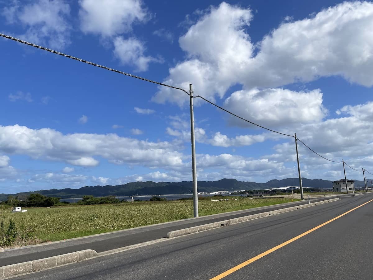 島根県松江市八束町の『そばの花』の開花中の様子