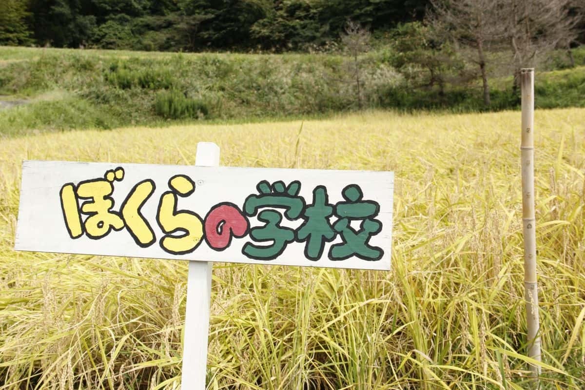 島根県奥出雲町の追谷地区の地域団体「ぼくらの学校」が管理する田んぼ