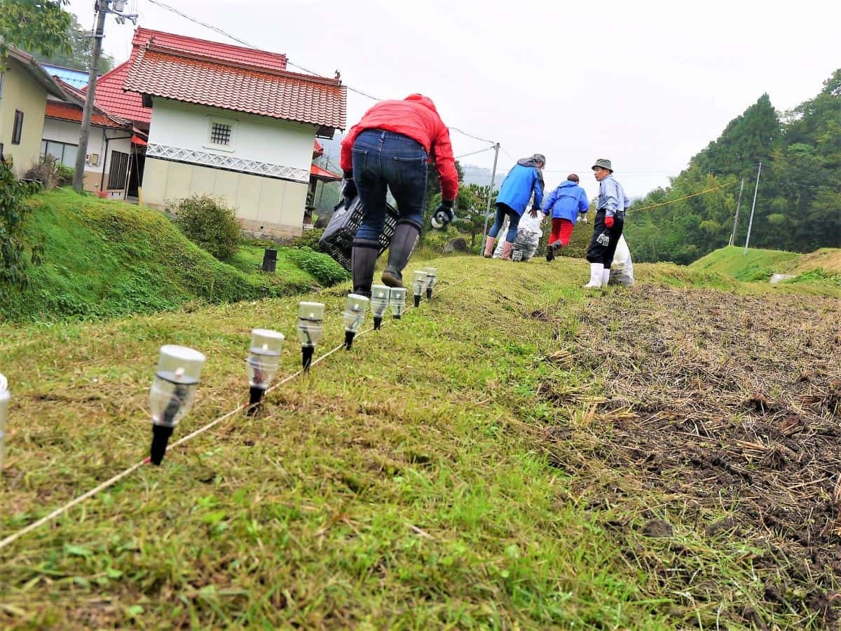 島根県奥出雲町の追谷地区で開催されるライトアップイベント「たたらの灯」の準備中の様子