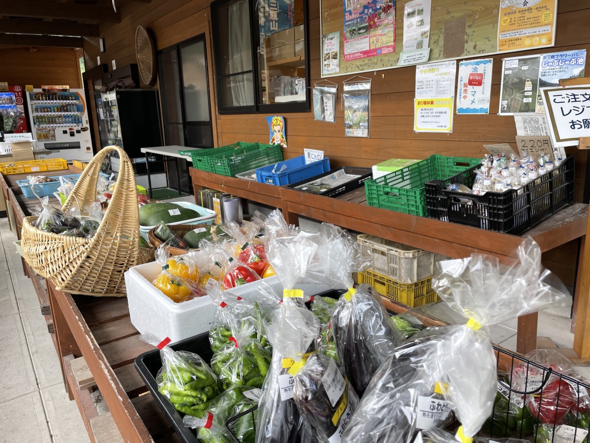 島根県飯南町にあるコスモスの名所『東三瓶フラワーバレー』に隣接する『ヤマメの渓』