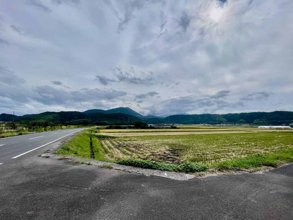 いま見ごろ!米子市淀江町のカラフルな『コスモス街道』【山陰フォト散歩】|日刊Lazuda(ラズダ) - 島根・鳥取を知る、見る、食べる、遊ぶ ...