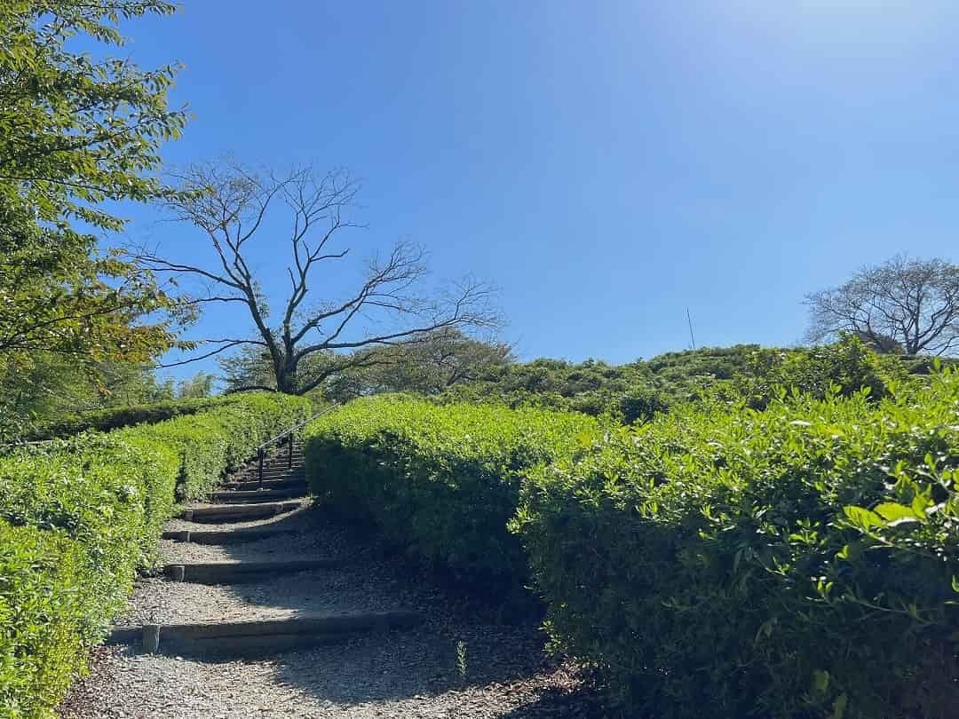 島根県安来市にある『古代出雲王陵の丘造山公園』の様子