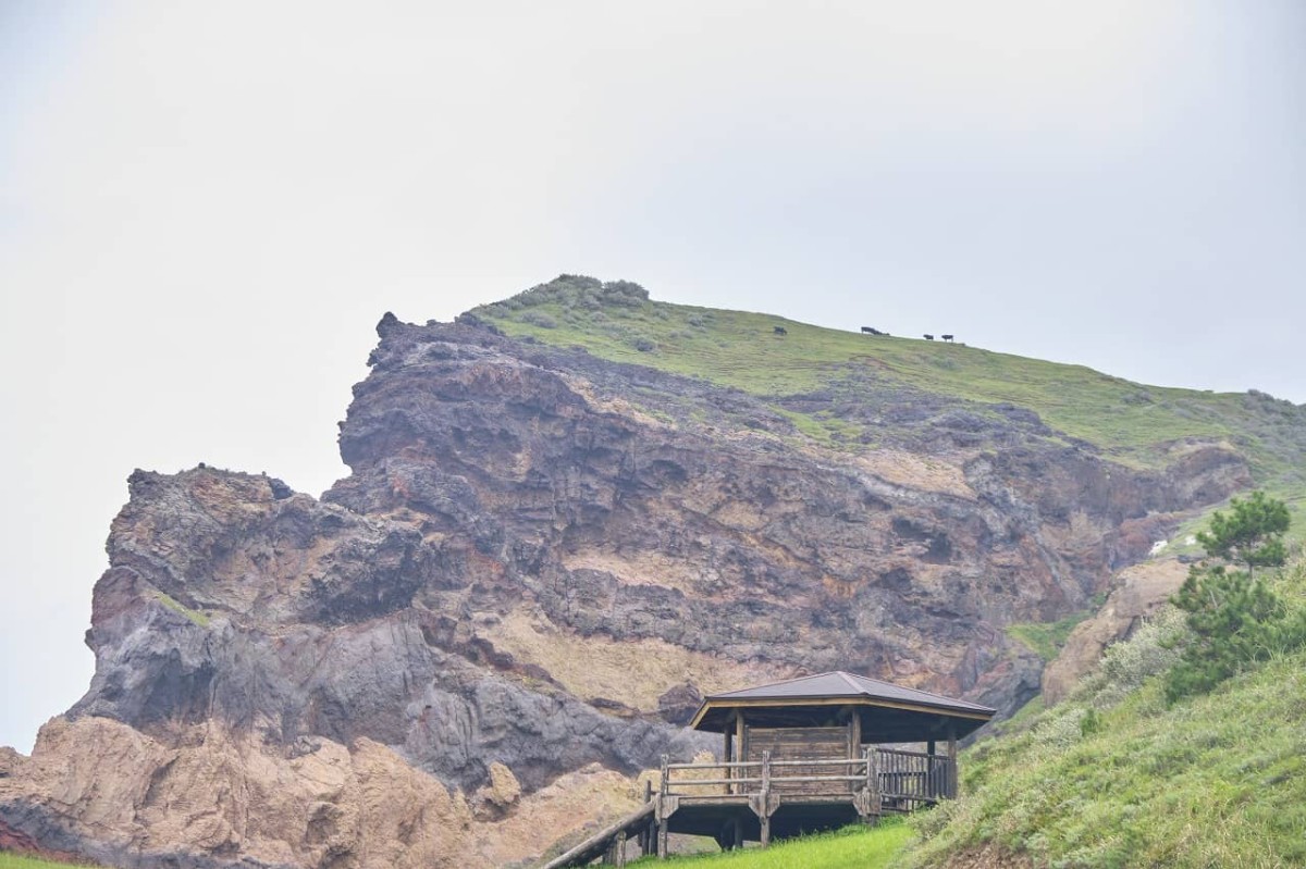 島根県隠岐諸島のひとつ・西ノ島の観光名所「摩天崖」