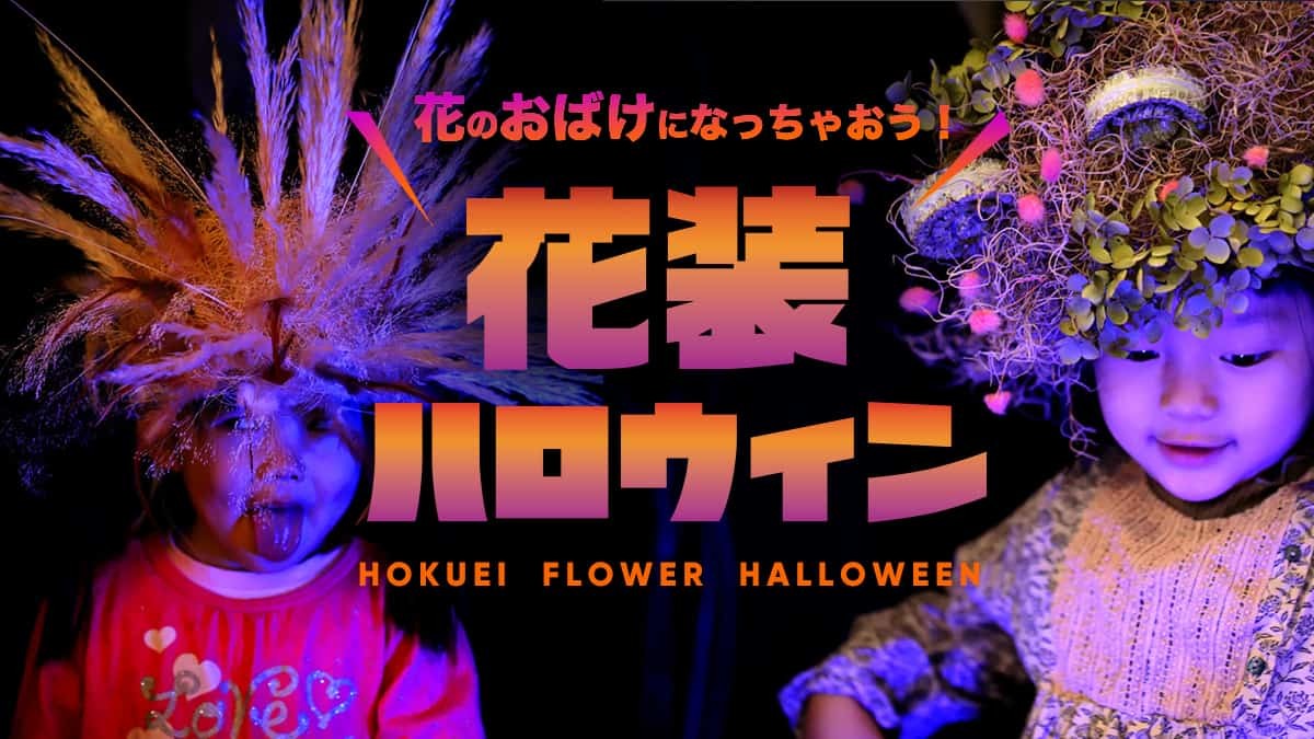 鳥取県東伯郡北栄町の青山剛昌ふるさと館で開催される「花装ハロウィン」