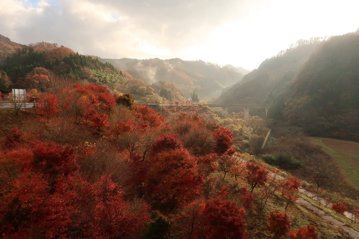 島根県飯南町の穴場紅葉スポット「東三瓶フラワーバレー」周辺の紅葉の様子
