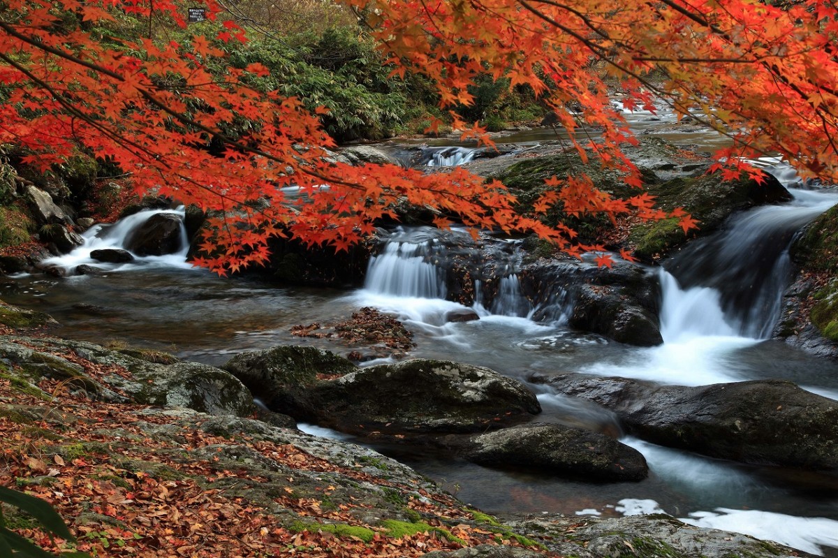 島根県雲南市の景勝地『八重滝』の紅葉