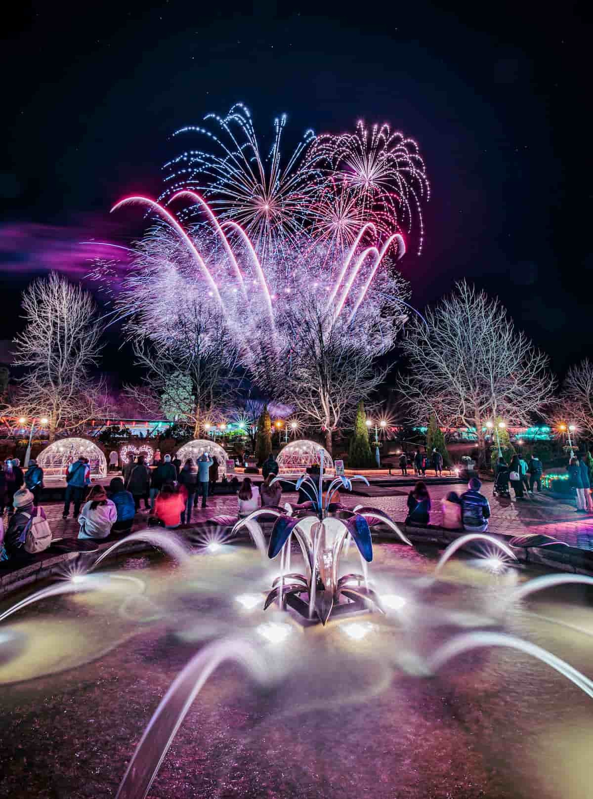 日本最大級のフラワーパーク『とっとり花回廊』の「冬花火」