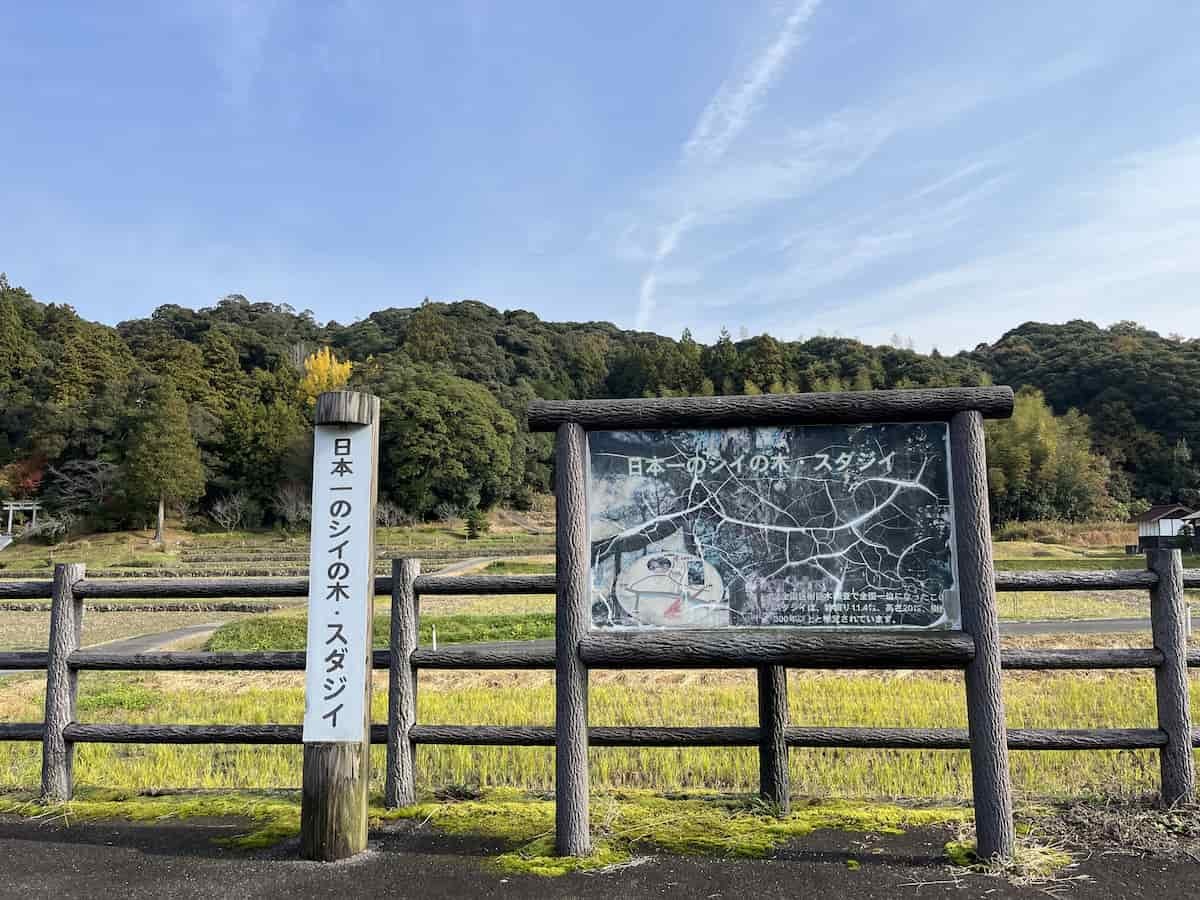 島根県松江市八雲町にある「志多備神社」