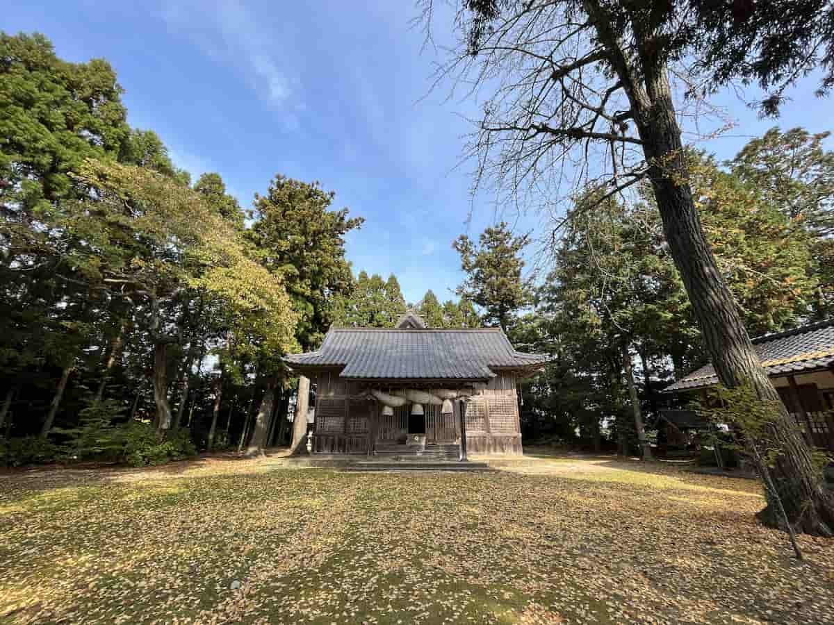 島根県松江市にある「六所神社」_イチョウ