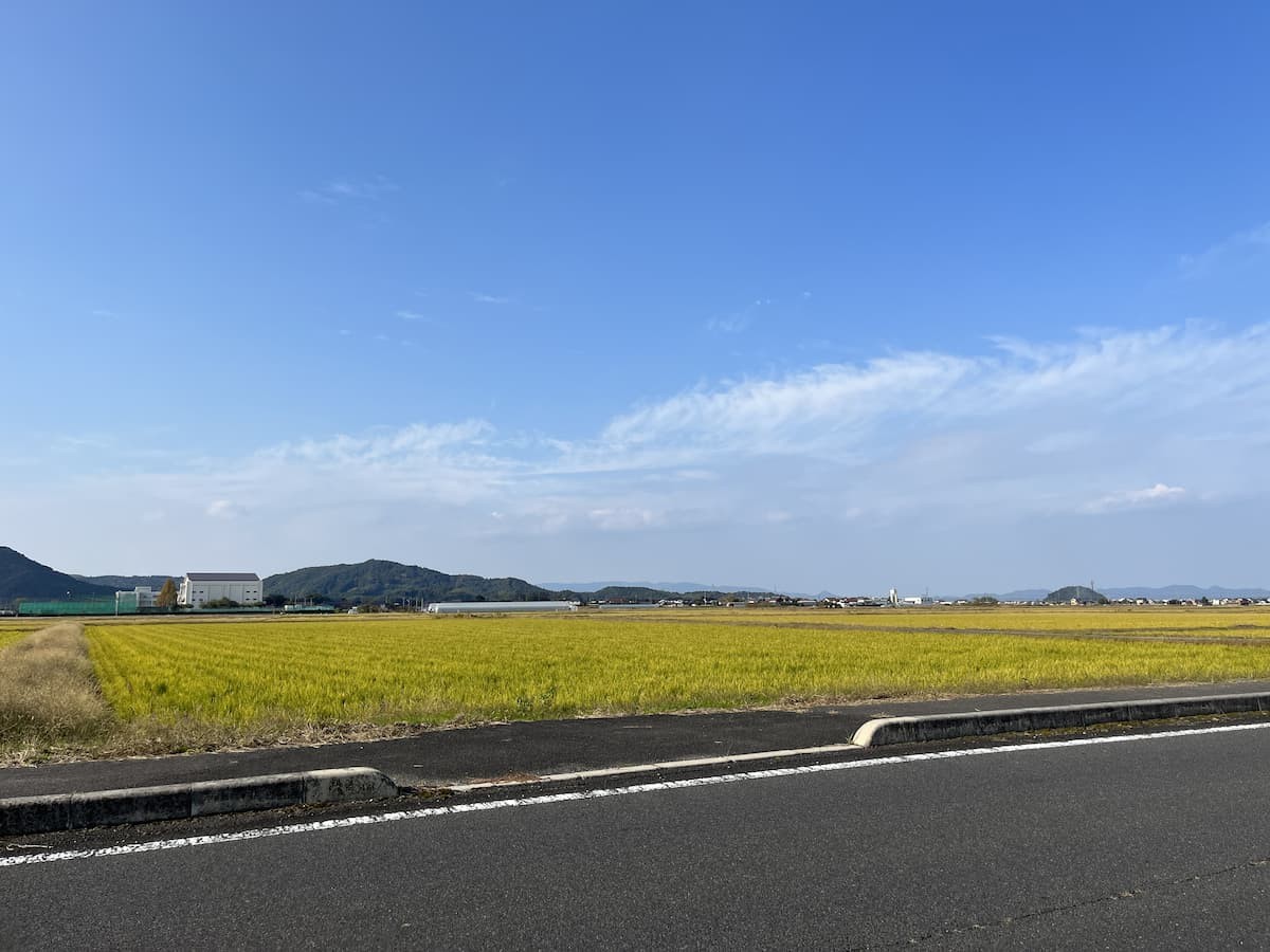 安来市の「白鳥ロード」