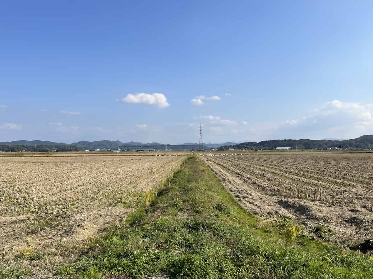 安来市の「白鳥ロード」