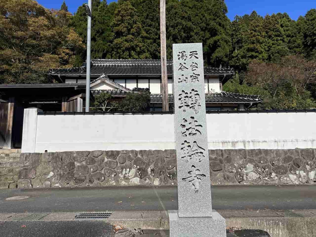 鳥取県東伯郡琴浦町の「転法輪寺（てんぽうりんじ）」にある大イチョウの様子