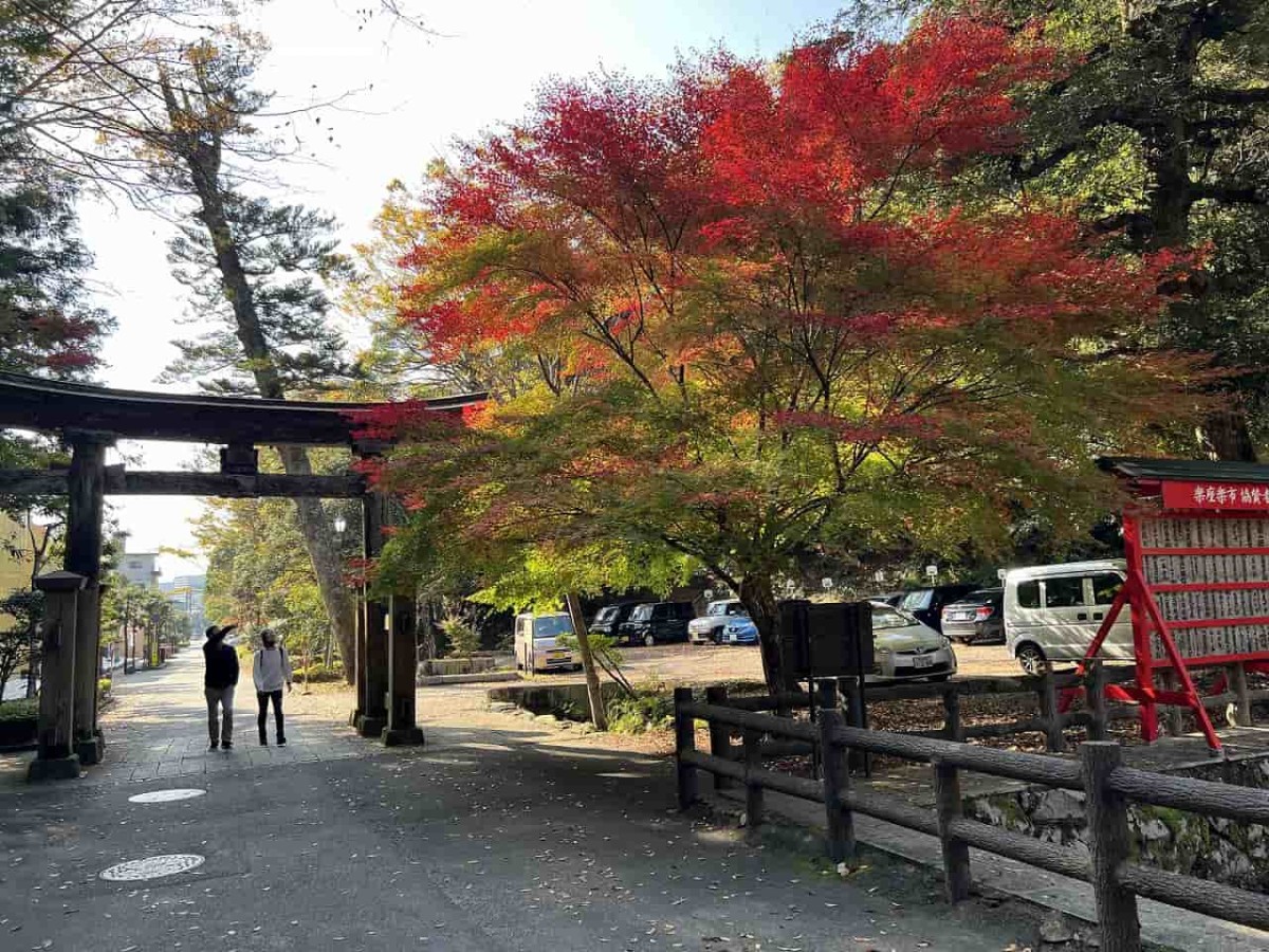 鳥取県鳥取市にある「樗谿公園」が紅葉シーズンを迎えた時の様子