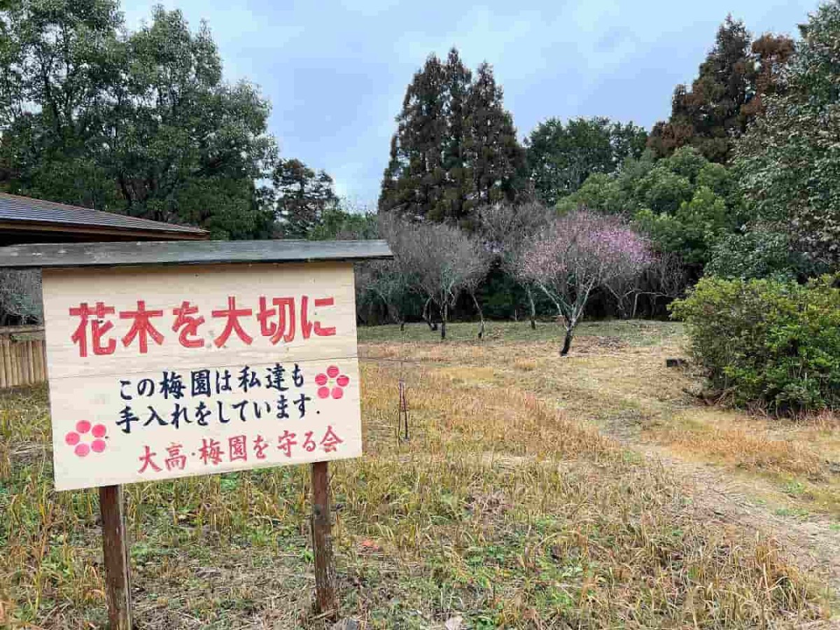 鳥取県米子市尾高の梅園で見られる梅の花