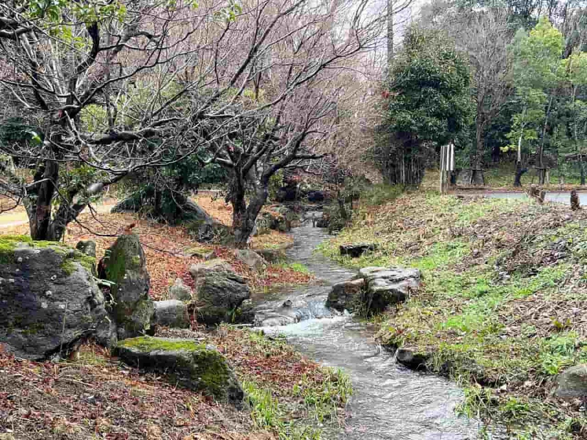鳥取県米子市尾高の梅園に流れる水