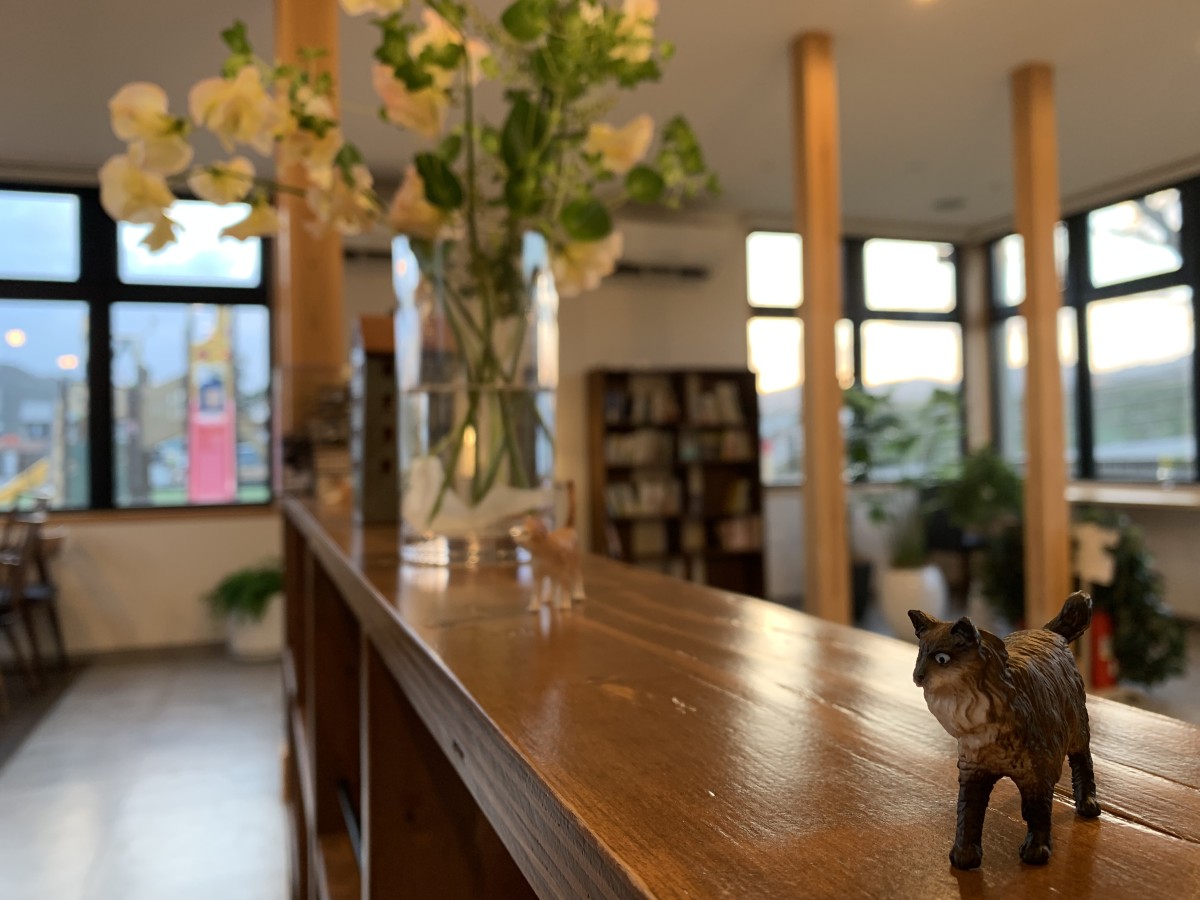 島根県雲南市三刀屋町の複合施設「コトリエット」にオープンしたブックカフェ『コタ』の店内
