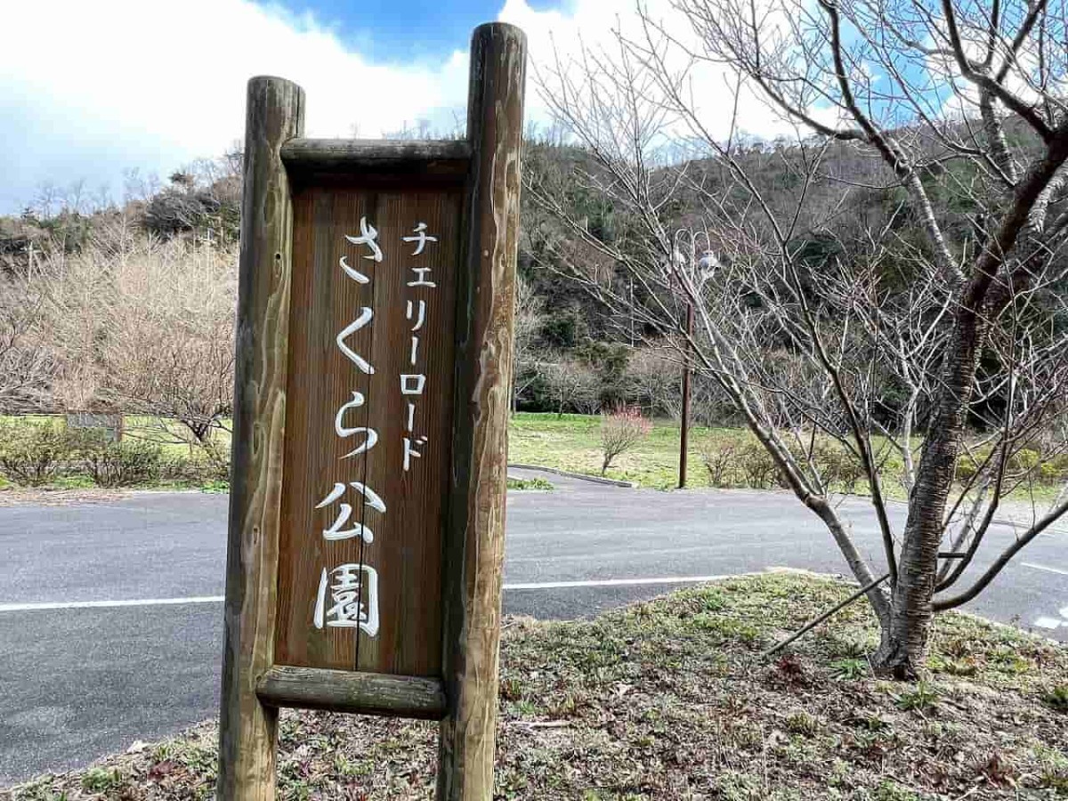 島根県松江市にある『チェリーロードさくら公園』の様子