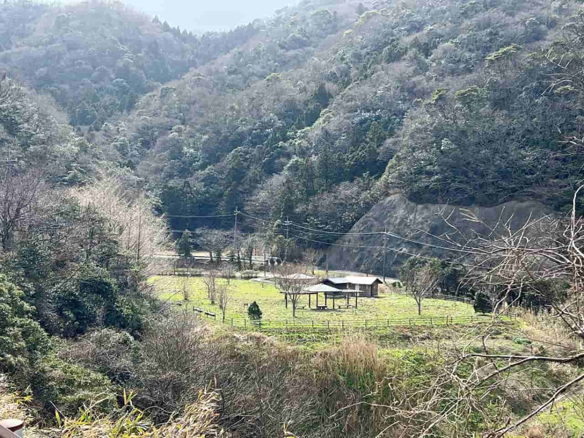 島根県松江市にある『チェリーロードさくら公園』の様子