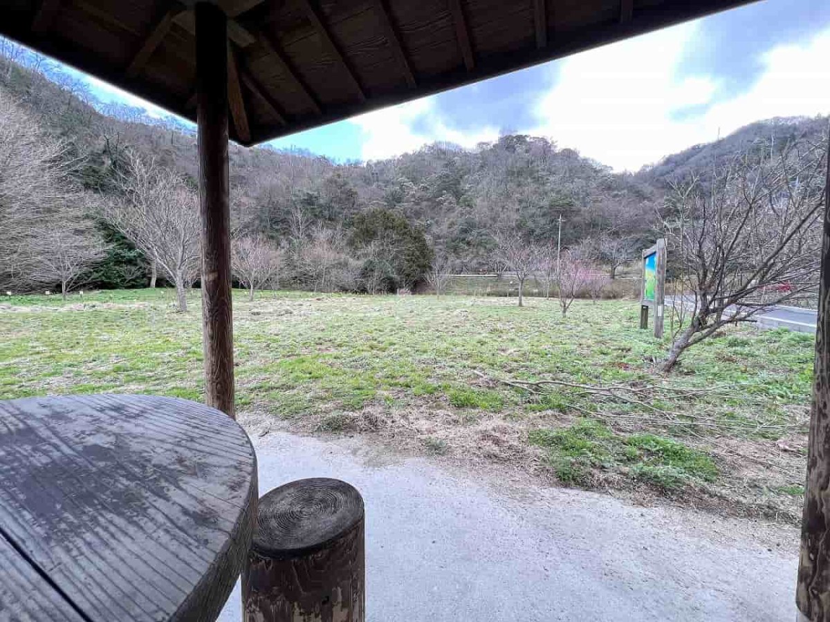 島根県松江市にある『チェリーロードさくら公園』の様子