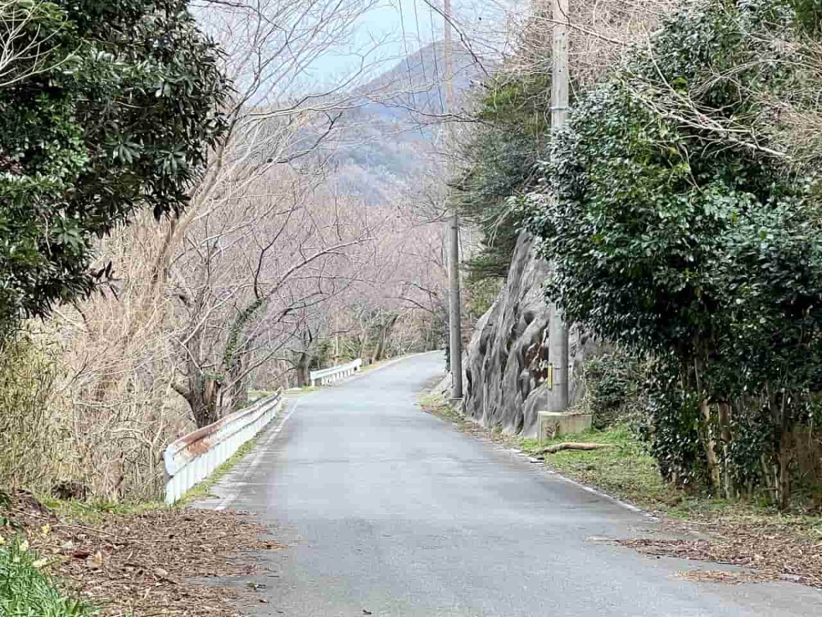 島根県松江市にある『チェリーロードさくら公園』の様子