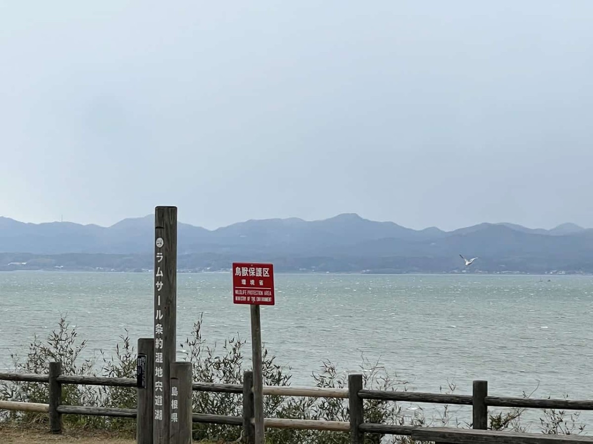 島根県松江市の国道９号沿いにある『宍道湖ふれあいパーク』の様子