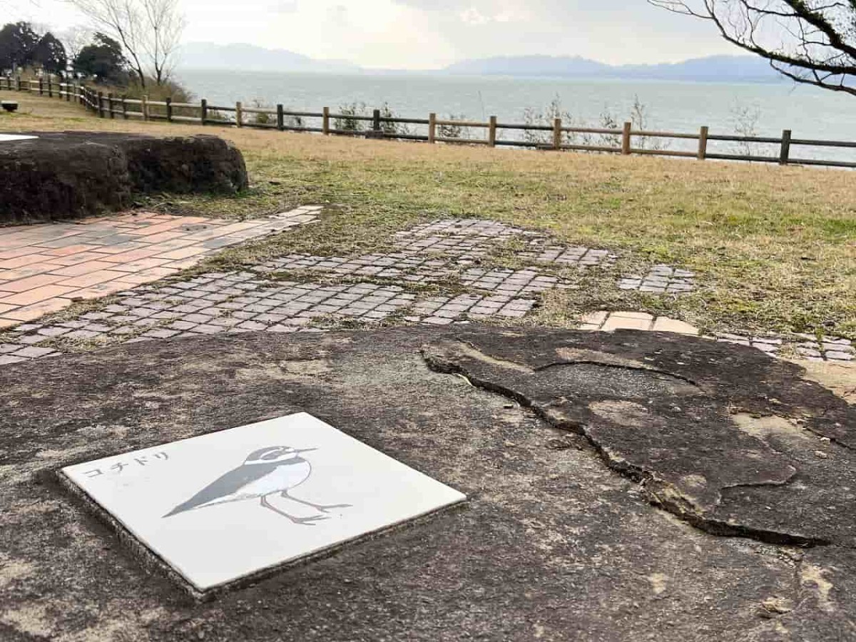 島根県松江市にある公園「宍道湖ふれあいパーク」から見える海景色